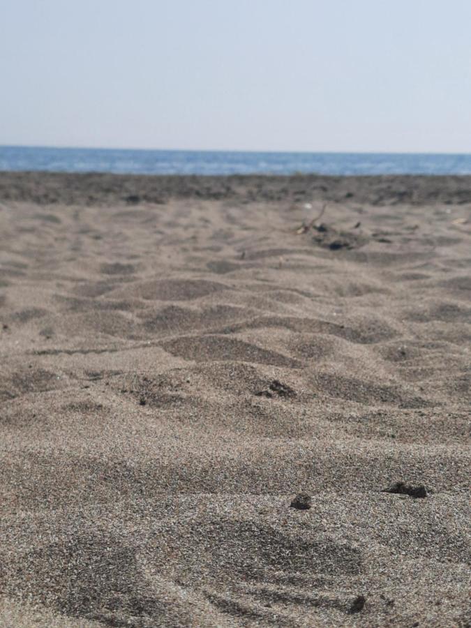 Vila Pushimi Regis Velipoje Bagian luar foto